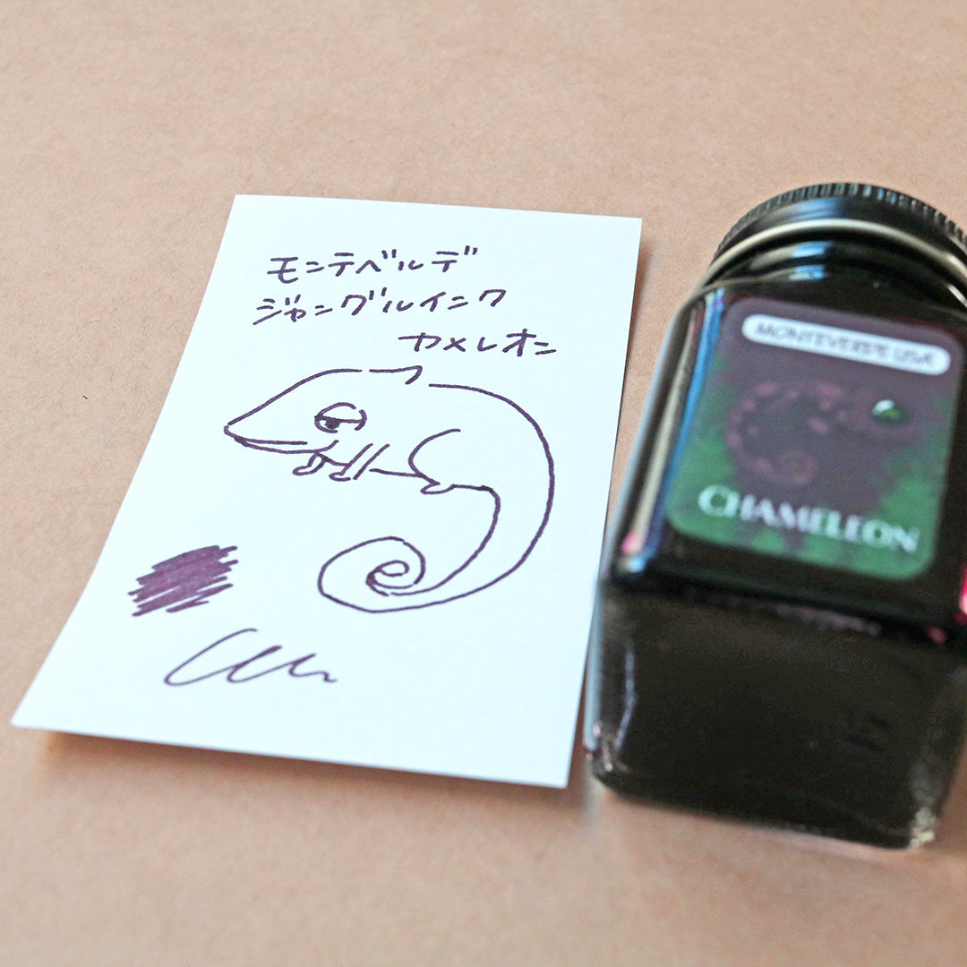 筆記具 モンテベルデ 「ジャングル」コレクション 30ml 10色セット⑥